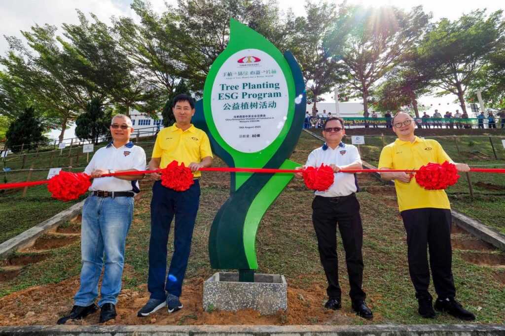 “手植一抹绿,心栽一片林”--总商会携手芙蓉中华中学举办公益植树活动